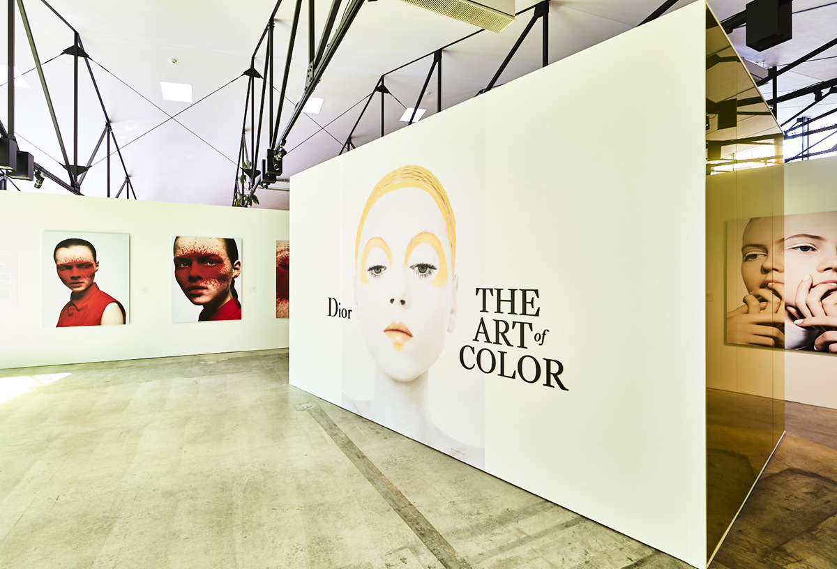 VISIONS AND PARADOX | DIOR | Photography | THE ART OF COLOR image